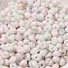 Baking Paint Glass Seed Beads X1-SEED-F006-01A-14-3