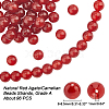 Natural Carnelian Beads Strands G-AR0002-93-2