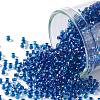 TOHO Round Seed Beads SEED-JPTR11-0189-1