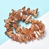 Natural Quartz Crystal Points Beads Strands G-K181-B26-8