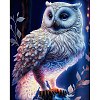 DIY Owl Diamond Painting Kit DIAM-PW0013-02B-1