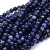 Round Natural Sodalite Beads Strands X-G-F222-39-12mm-1