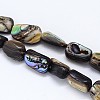 Natural Paua Shell Beads Strands SSHEL-J047-03-3