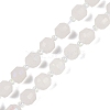 Electroplated Natural White Moonstone Beads Strands G-O201B-132F-2