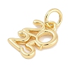 Brass Pendants KK-Q028-37G-2