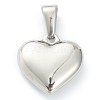 304 Stainless Steel Pendants STAS-P278-01L-P-2