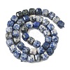 Natural Blue Spot Jasper Beads Strands G-C267-A20-3
