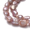 Natural Cultured Freshwater Pearl Beads Strands PEAR-A005-10C-01-3