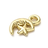 Alloy Pendants FIND-A051-02B-G-2