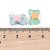 Candy Color Translucent Resin Decoden Cabochons RESI-S394-04B-3