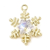 Alloy with Rhinestone Pendants ALRI-U001-02E-02-1