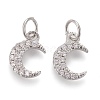 Brass Micro Pave Clear Cubic Zirconia Charms ZIRC-Z005-01C-1