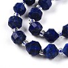 Natural Lapis Lazuli Beads Strands G-O201B-25-1-4