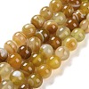 Natural Striped Agate/Banded Agate Beads Strands G-Z060-A01-C09-1