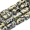 Natural Dalmatian Jasper Beads Strands G-K245-I03-01-1