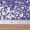 MIYUKI Delica Beads SEED-JP0008-DB1569-2