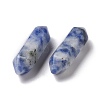 Natural Blue Spot Jasper Beads G-K330-28-3