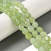 Natural White Jade Dyed Beads Strands G-B078-D22-01-2