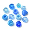 250Pcs Transparent & Opaque Acrylic Beads and Plastic Beads Kits DIY-FS0006-08-2