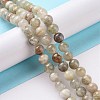 Natural Quartz Beads Strands G-P488-04B-2