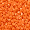 Baking Painted Glass Seed Beads SEED-C004-01C-3