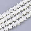 Natural Trochid Shell/Trochus Shell Beads Strands SHEL-T013-007A-01-1