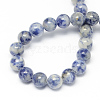 Natural Blue Spot Jasper Bead Strands G-R193-15-4mm-2