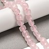 Natural Rose Quartz Beads Strands G-H078-C01-01-2