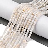 Natural White Moonstone Beads Strands G-G188-B09-01-2