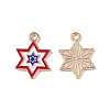 Independence Day Alloy Enamel Pendants ENAM-K067-36-3