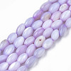 Natural Freshwater Shell Beads Strands SHEL-N003-25-B04-1