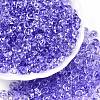 Spray Painted Transparent Glass Seed Beads SEED-T007-05I-3