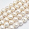 Natural Cultured Freshwater Pearl Beads Strands PEAR-K003-03A-1