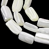 Natural Trochid Shell/Trochus Shell Beads Strands SH-CBA2978-20A-2