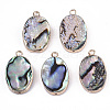 Natural Paua Shell Pendants SSHEL-R045-05-1