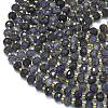 Natural Iolite Beads Strands G-K389-E01-01-3