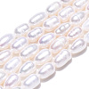 Natural Cultured Freshwater Pearl Beads Strands PEAR-N012-04N-4