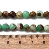 Natural Serpentine Beads Strands G-RM250101-D8-6mm-3