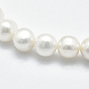 Natural Cultured Freshwater Pearl Beads Strands PEAR-F007-26-3