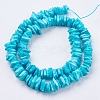 Natural Sea Shell Beads Strands X-BSHE-K012-08C-2