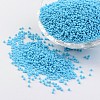 12/0 Grade A Baking Paint Glass Seed Spacer Beads X-SEED-Q009-FJX08-1