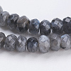 Natural Larvikite Beads Strands G-K255-19-3