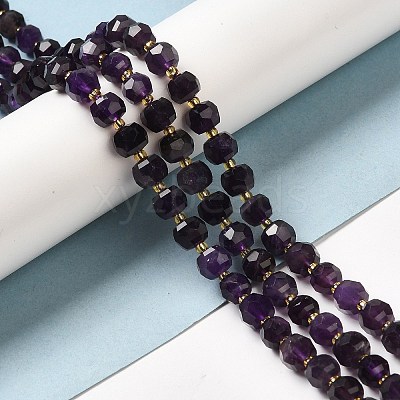 Natural Amethyst Beads Strands G-P508-A09-01-1