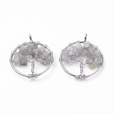 Natural Labradorite Pendants G-E419-16P-1