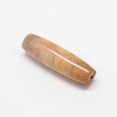 Natural Fossil Coral Beads G-P076-30-1