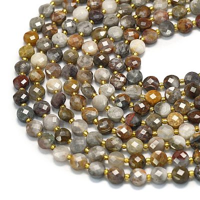 Natural Gobi Agate Beads Strands G-K389-B72-01-1