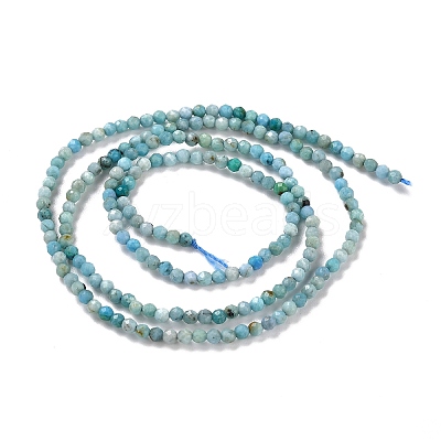Natural Blue Opal Beads Strands LS-G-K315-B05-A-1