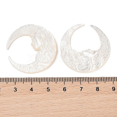 Natural White Shell Carved Cabochons SSHEL-C012-11-1