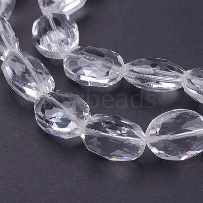 Glass Bead Strands GLAA-S003-16x13mm-14-1