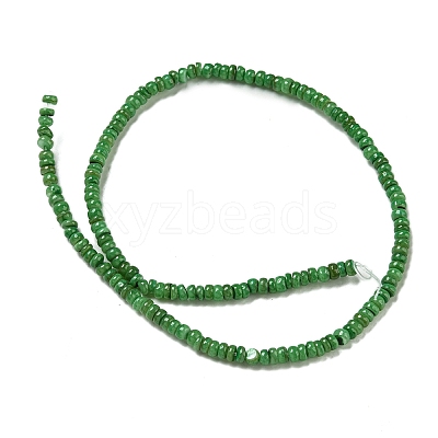 Dyed Natural Freshwater Shell Beads Strands BSHE-G039-07H-1